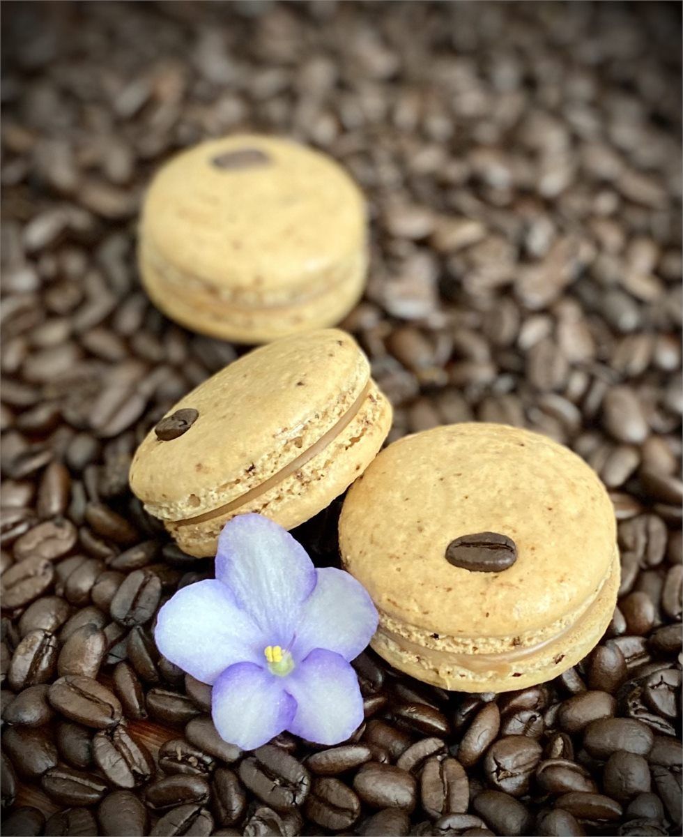 Coffee macarons arranged over roasted coffee beans