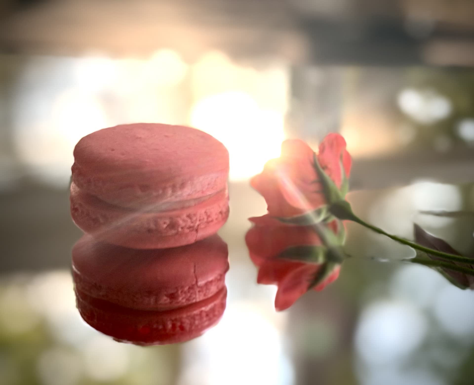A rose-pink macaron and a rose reflected on a polished table